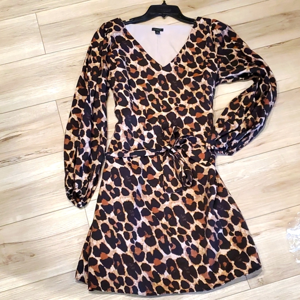Ann Taylor leopard dress puffy sleeve size 10